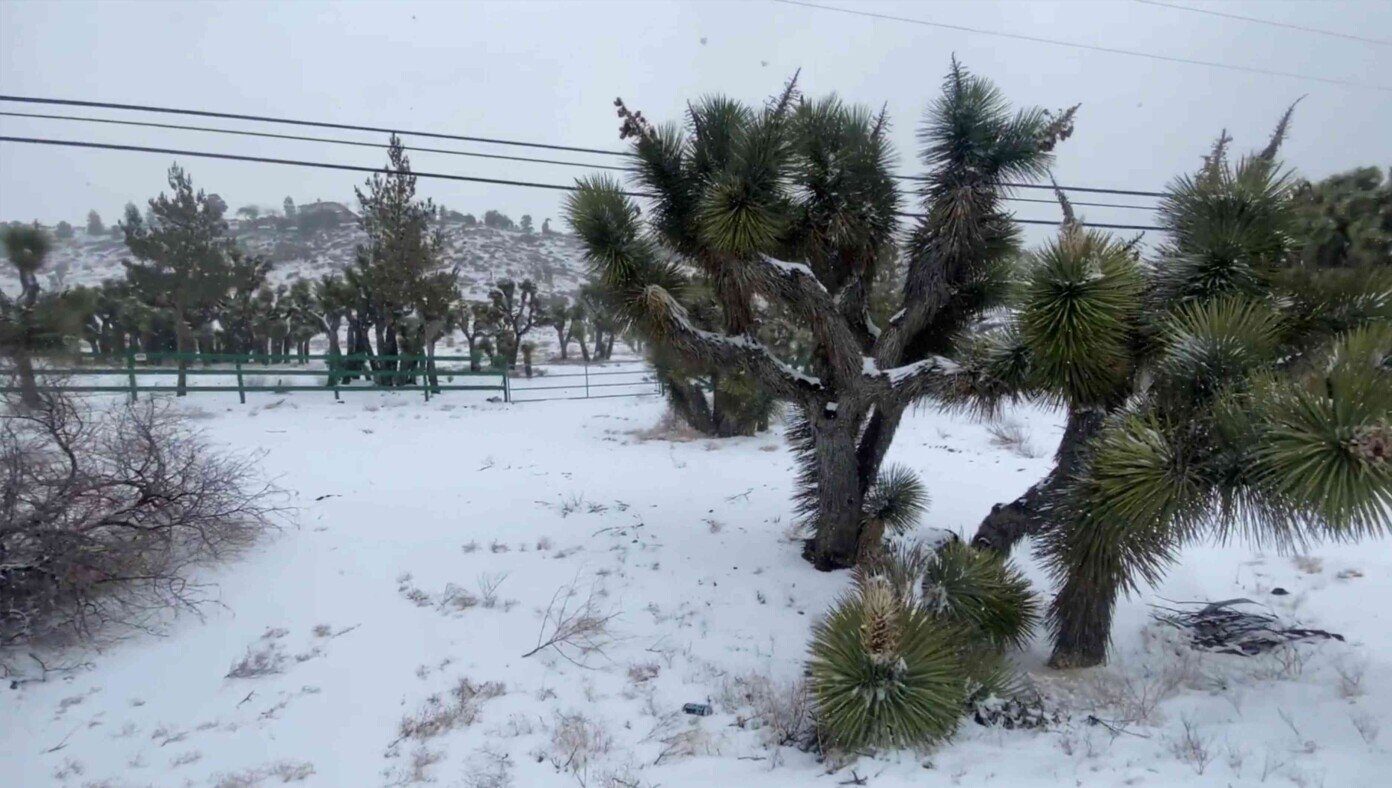'Global Warming'