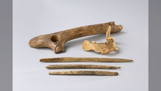 Click to enlarge Magdalenian bone