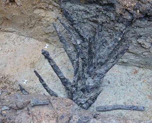 Roman-built defensive spikes