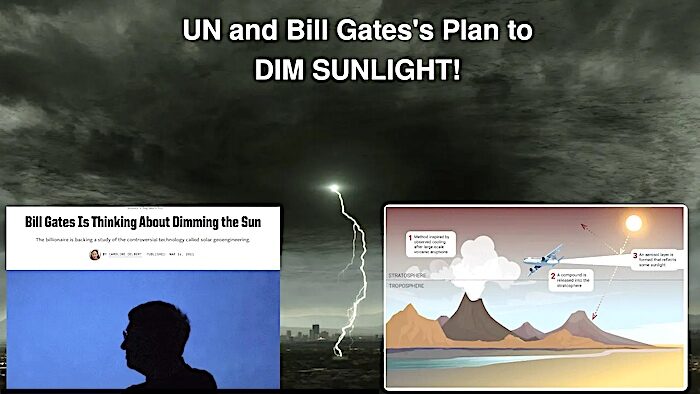 dim sun