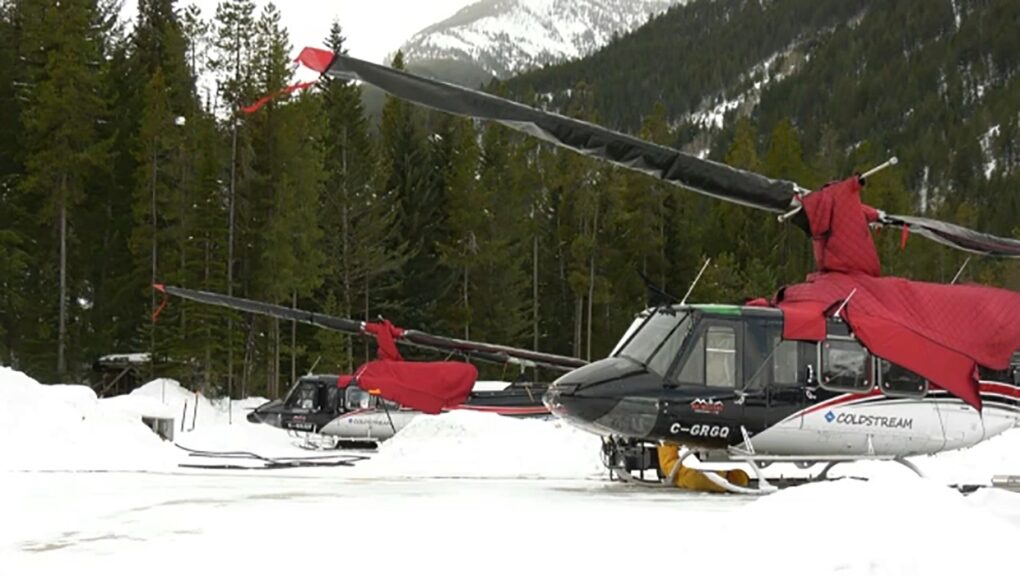 A group of 9 skiers and a guide were caught in an avalanche near Invermere, B.C. Wednesday. Three people died and four others were injured.