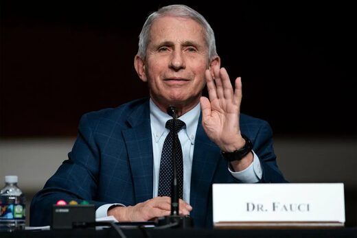 Click to enlarge fauci before senate