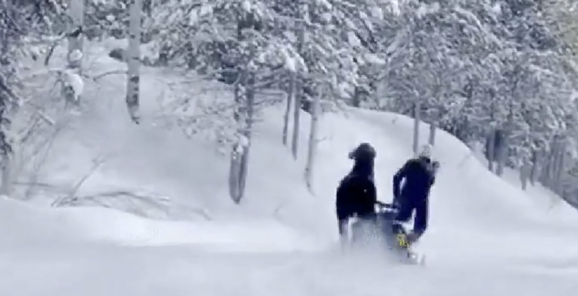 Screenshot from the video