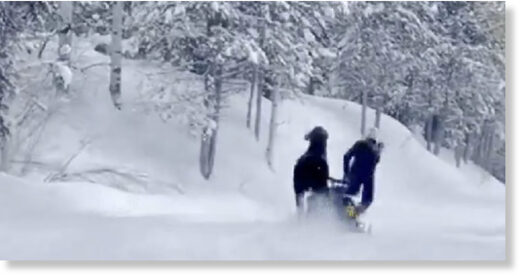 Screenshot from the video