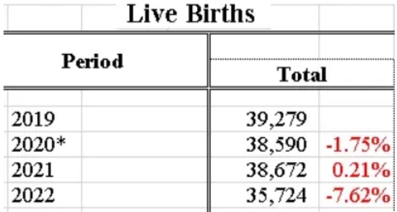 live births singapore