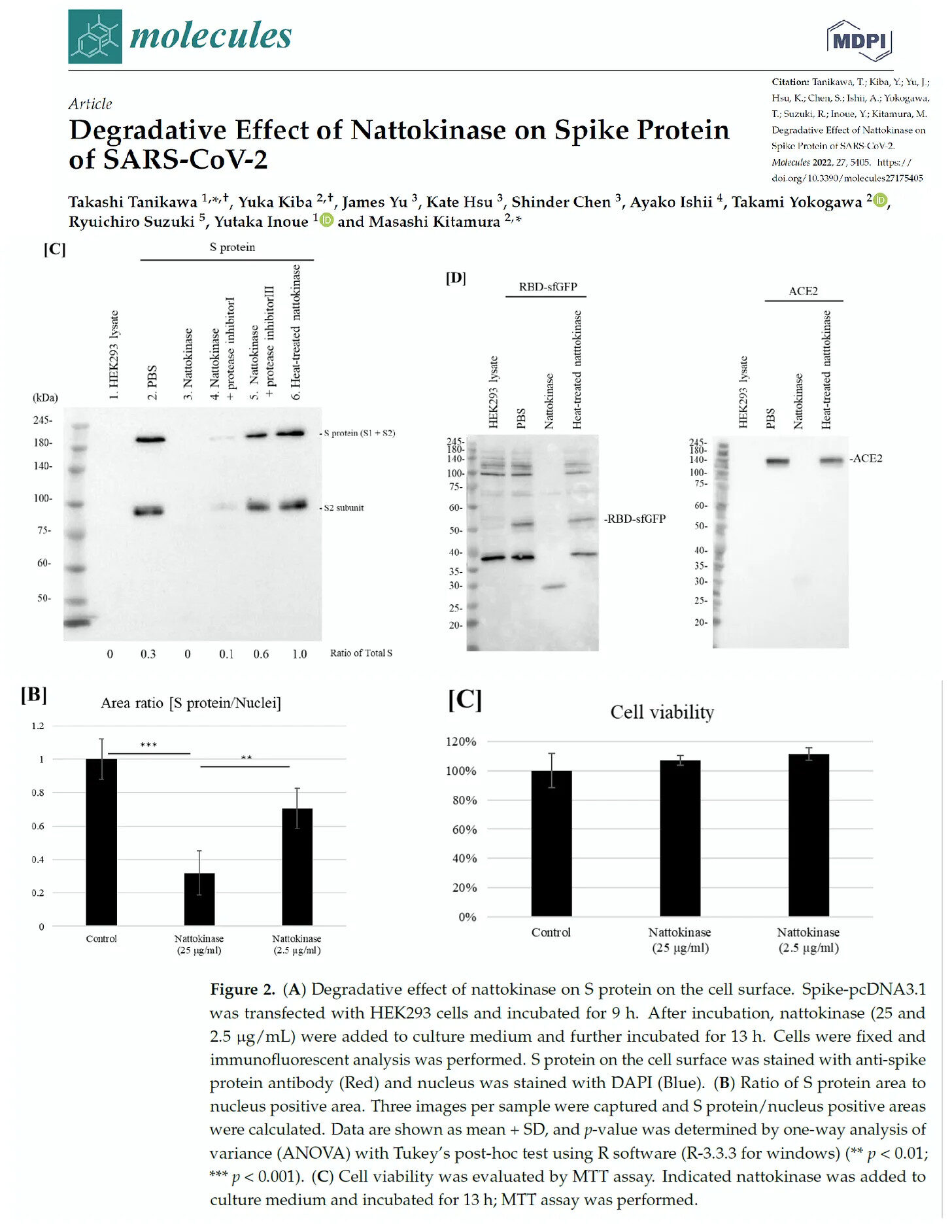 Click to enlarge Degradative Effect of Nattokinase