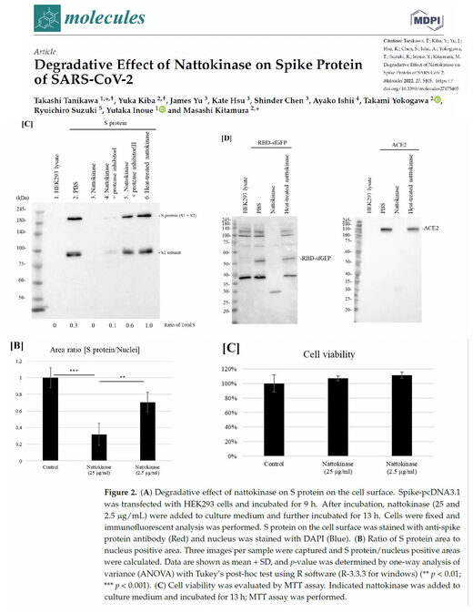 Degradative Effect of Nattokinase