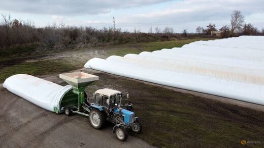 Click to enlarge ukraine grain field