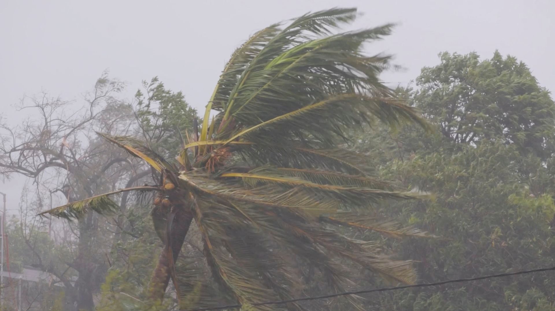 Branches of trees sway as cyclone Freddy hits,