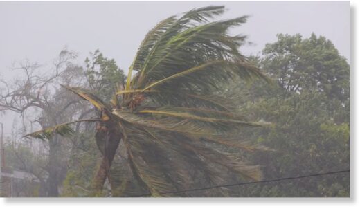 Click to enlarge Branches of trees sway as cyclone Freddy hits,