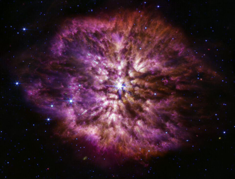 Click to enlarge Wolf-Rayet 124 (MIRI image)