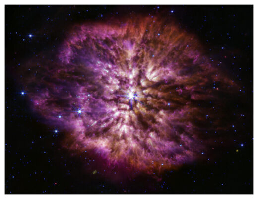 Wolf-Rayet 124 (MIRI image)