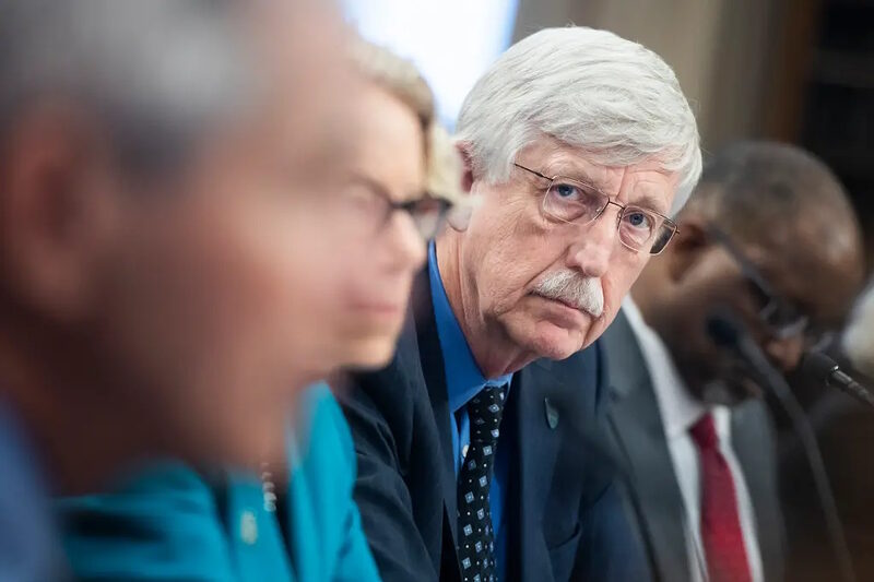 Click to enlarge francis collins fauci wuhan pandemic covid NIH