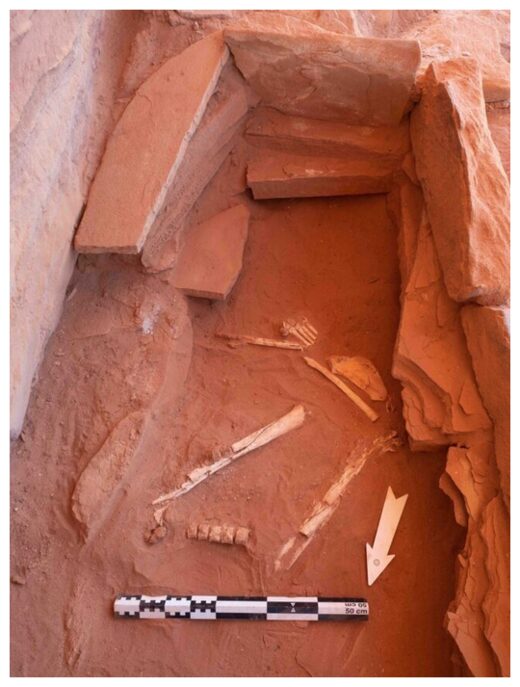 Click to enlarge Mustatil Pit