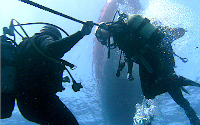 Divers