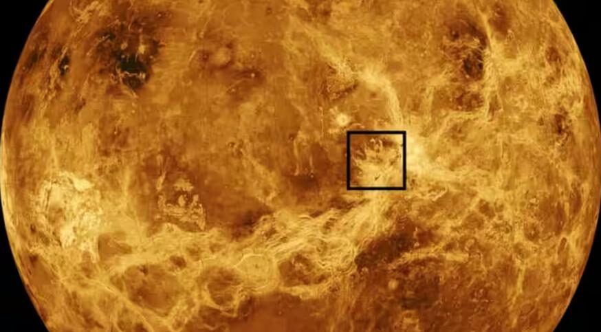Venus