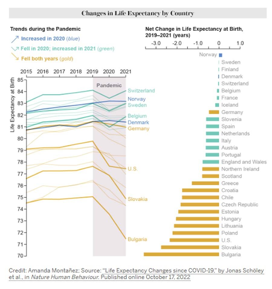 Click to enlarge Life Expectancy Chart
