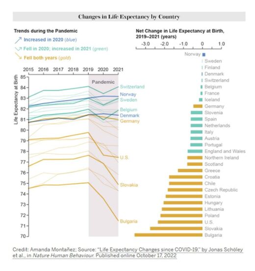 Life Expectancy Chart