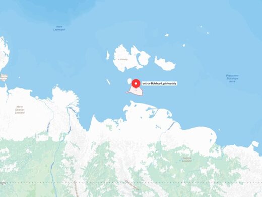 Bolshoy Lyakhovsky Island