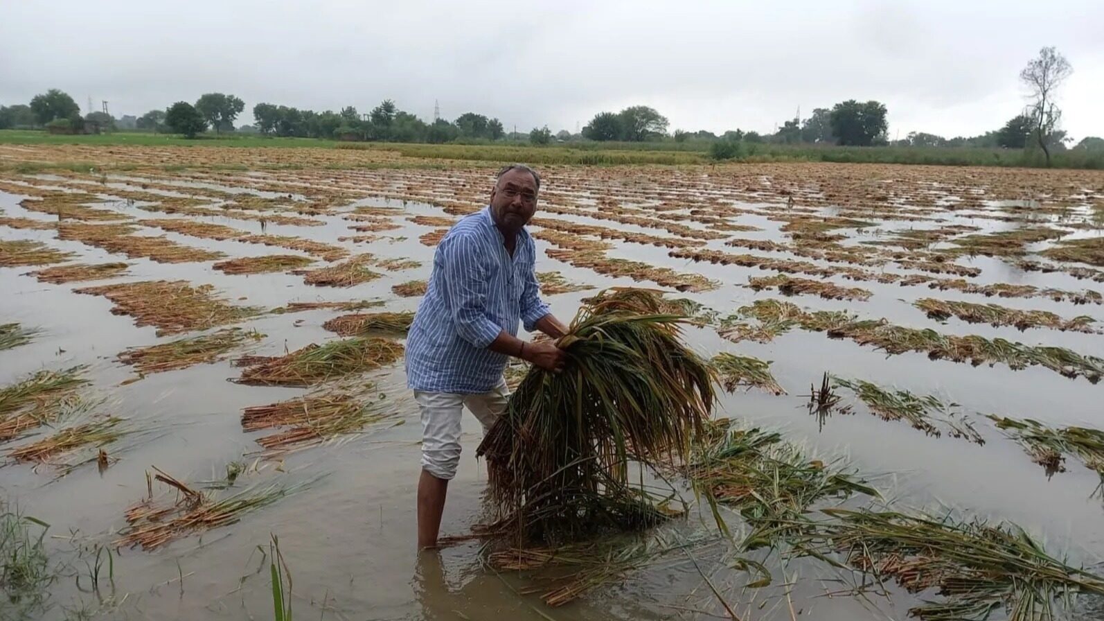 Heavy rainfall has been recorded in Punjab, Haryana, Odisha, Telangana, Kerala, Andhra Pradesh, Chhattisgarh and Tamil Nadu in the past 24 hours.