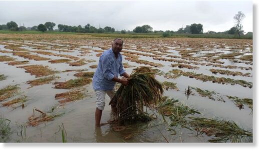 Click to enlarge Heavy rainfall has been recorded in Punjab, Haryana, Odisha, Telangana, Kerala, Andhra Pradesh, Chhattisgarh and Tamil Nadu in the past 24 hours.