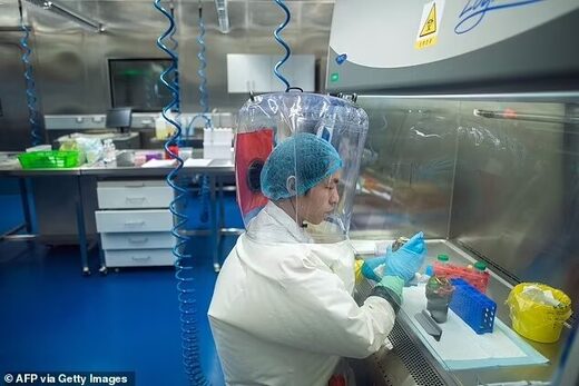 Click to enlarge wuhan lab