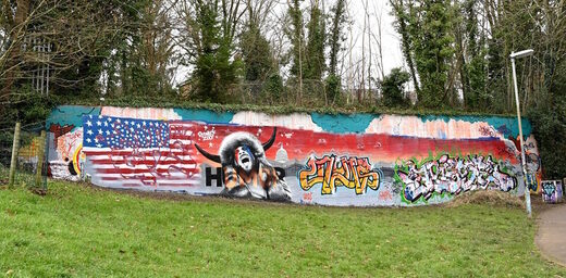grafitti usa qanon shaman street culture