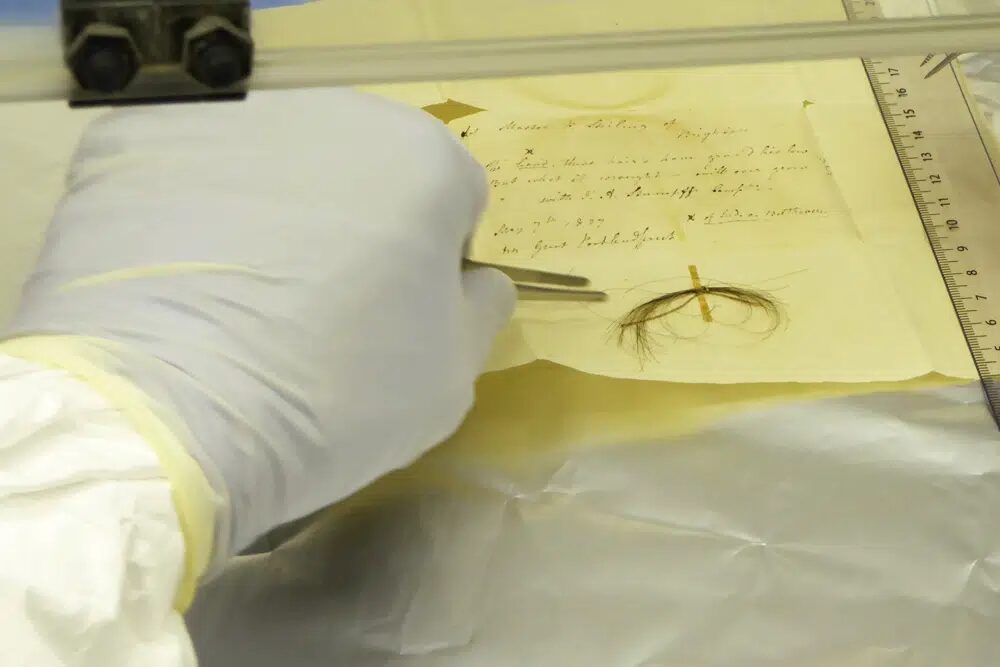 Click to enlarge Beethoven hair dna cause of death