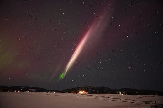 steve aurora bozeman