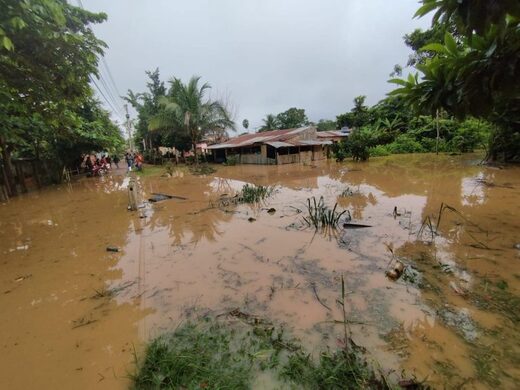 Bolivia  -  Thousands affected by floods in Santa Cruz and Pando Departments