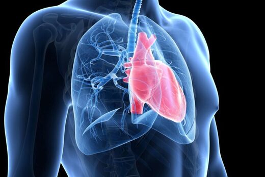 COVID-19 not responsible for "explosion" in heart deaths. Major autopsy study shows "must be the vaccine"