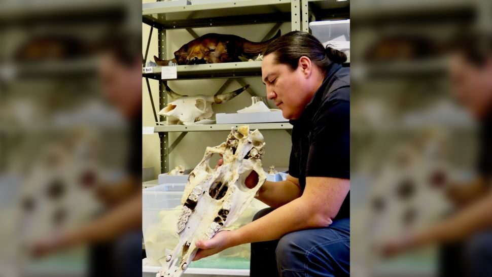 Click to enlarge Lakota archaeologist Chance Ward