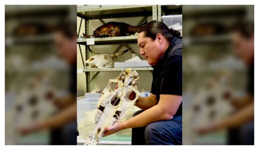 Click to enlarge Lakota archaeologist Chance Ward