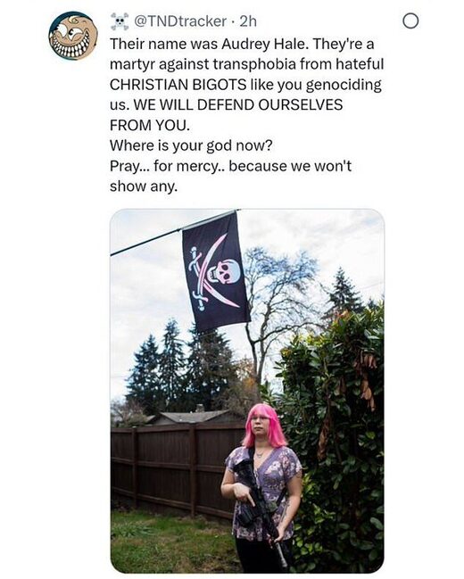 Click to enlarge audrey hale trans violence fundraising