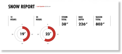 Alta Ski Area snow report.