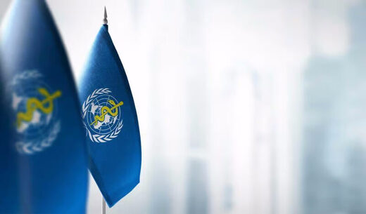 WHO Flag