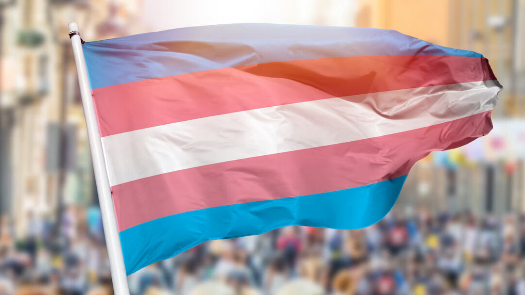 Transgender Flag