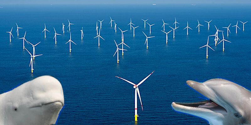 windfarm