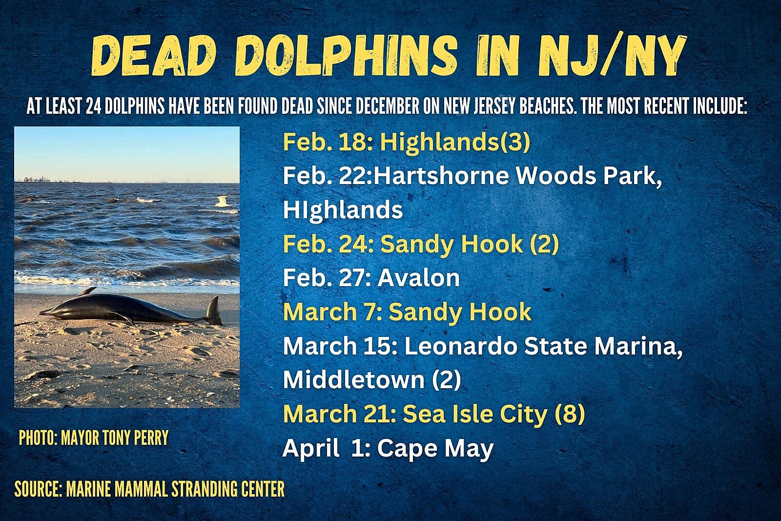 Click to enlarge Most recent dolphin strandings on New Jersey