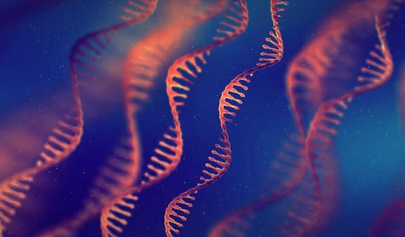 DNA graphic