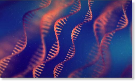 DNA graphic