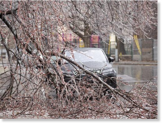 Click to enlarge Fallen tree branches are shown on a street