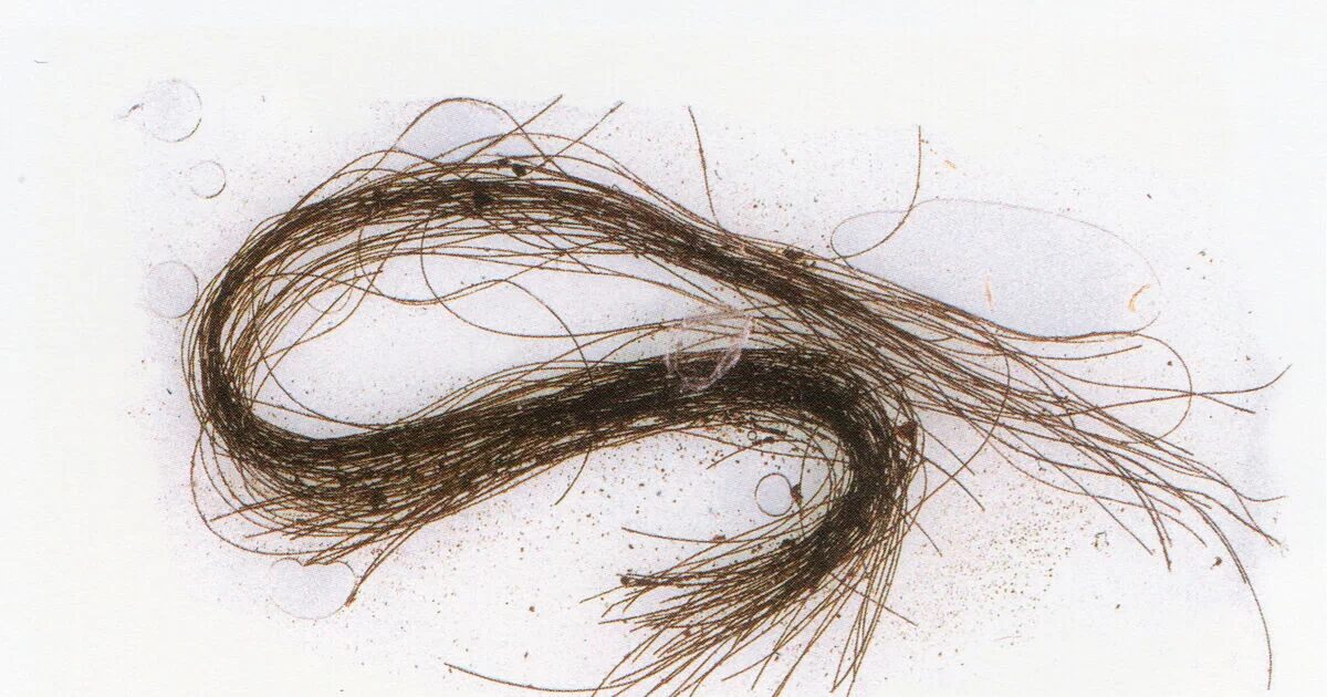 Ancient Human Hair