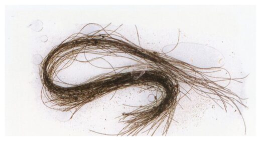 Ancient Human Hair