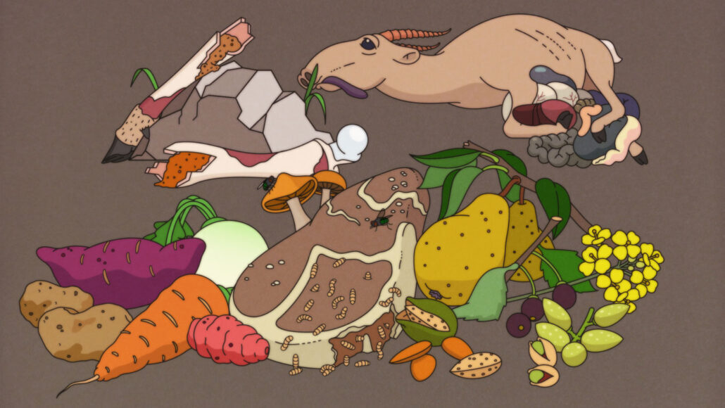 rotten meat