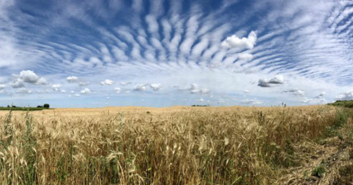 gravity waves