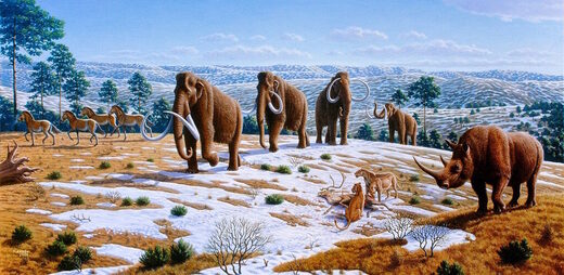 Click to enlarge wooly mammoths