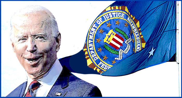 Click to enlarge Bidenflag