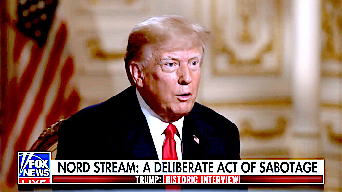 Click to enlarge TrumpFox