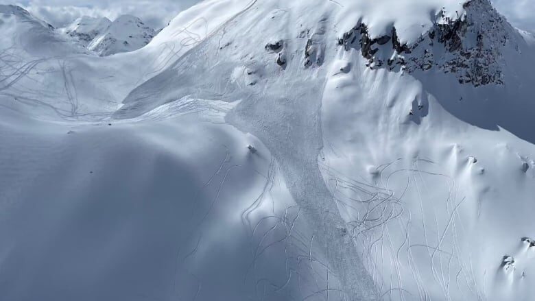 Click to enlarge An avalanche near Invermere, B.C., killed one snowmobiler Saturday. It was photographed by search and rescue volunteers.